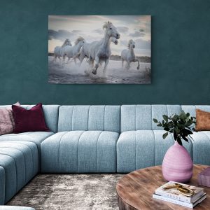 Canvas slika Galop konja
