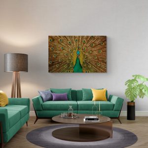 Canvas slika, paun, Šareno perje, ptica,