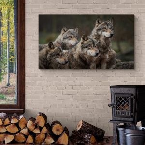 Čopor sivih vukova u šumi